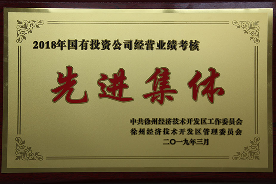 2019年3月2018年国有投资公司经营业绩考核先进集体