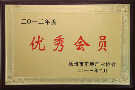 2013年2月2012年市房地产协会优秀会员奖牌