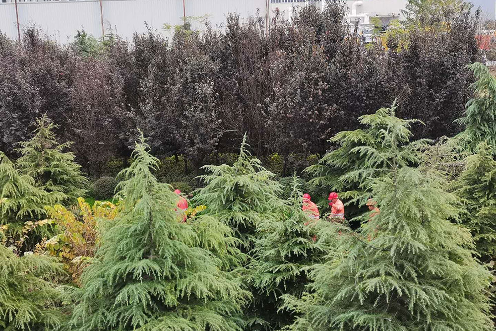 管网疏通