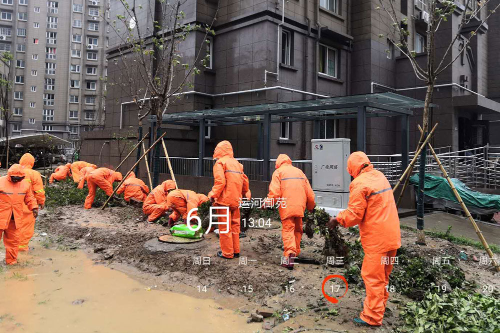 运河御园绿化工程