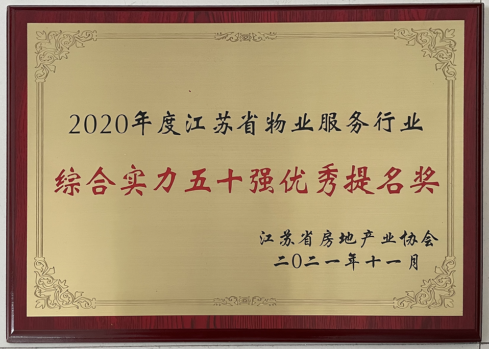 综合实力排名50强优秀提名奖奖牌