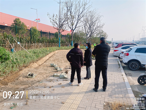 杜总到绿化工地检查工作