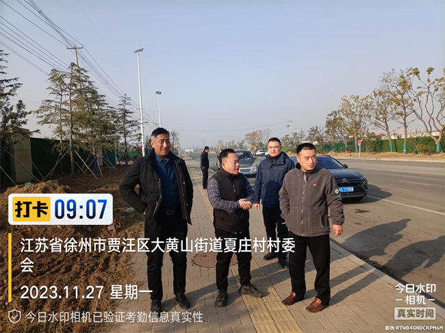张总到开沃新工地指导绿化工作