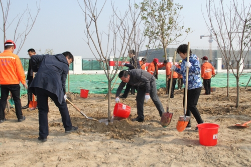 公司组织义务植树活动